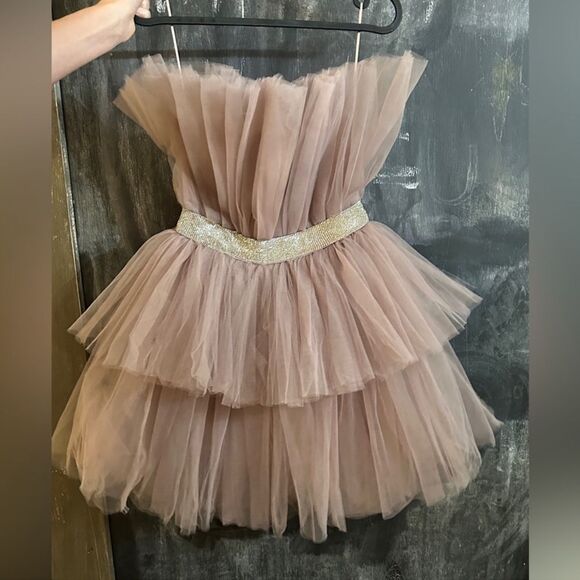 Mable Tulle Mini NWT Size XS Elegant Mauve Tulle Dress with Gold Belt - Picture 4 of 4